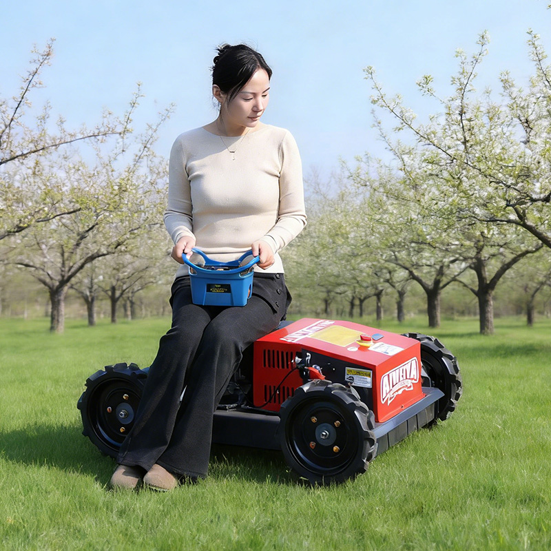 Tagliaerba Robotizzato Persona - Hedge Trimmer Cordless recensione e prezzo