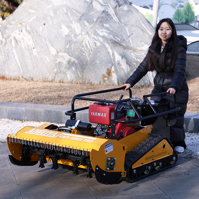 Trinciatrice a Martelli con La - Hedge Trimmer Cordless recensione e prezzo