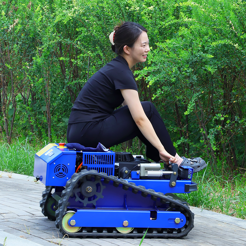 Robot Rasaerba Cingolato Telec - Hedge Trimmer Cordless recensione e prezzo