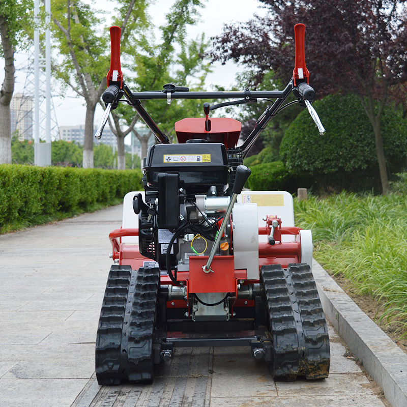 Tosaerba semovente cingolato d - Hedge Trimmer Cordless recensione e prezzo