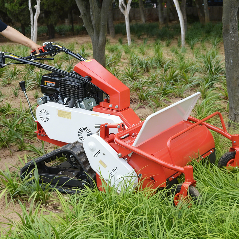 Tosaerba semovente cingolato d - Hedge Trimmer Cordless recensione e prezzo
